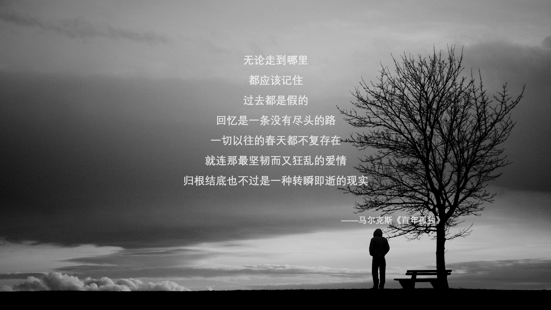 意甲战队备战全力以赴，冲击冠军荣誉，意甲冠军球队