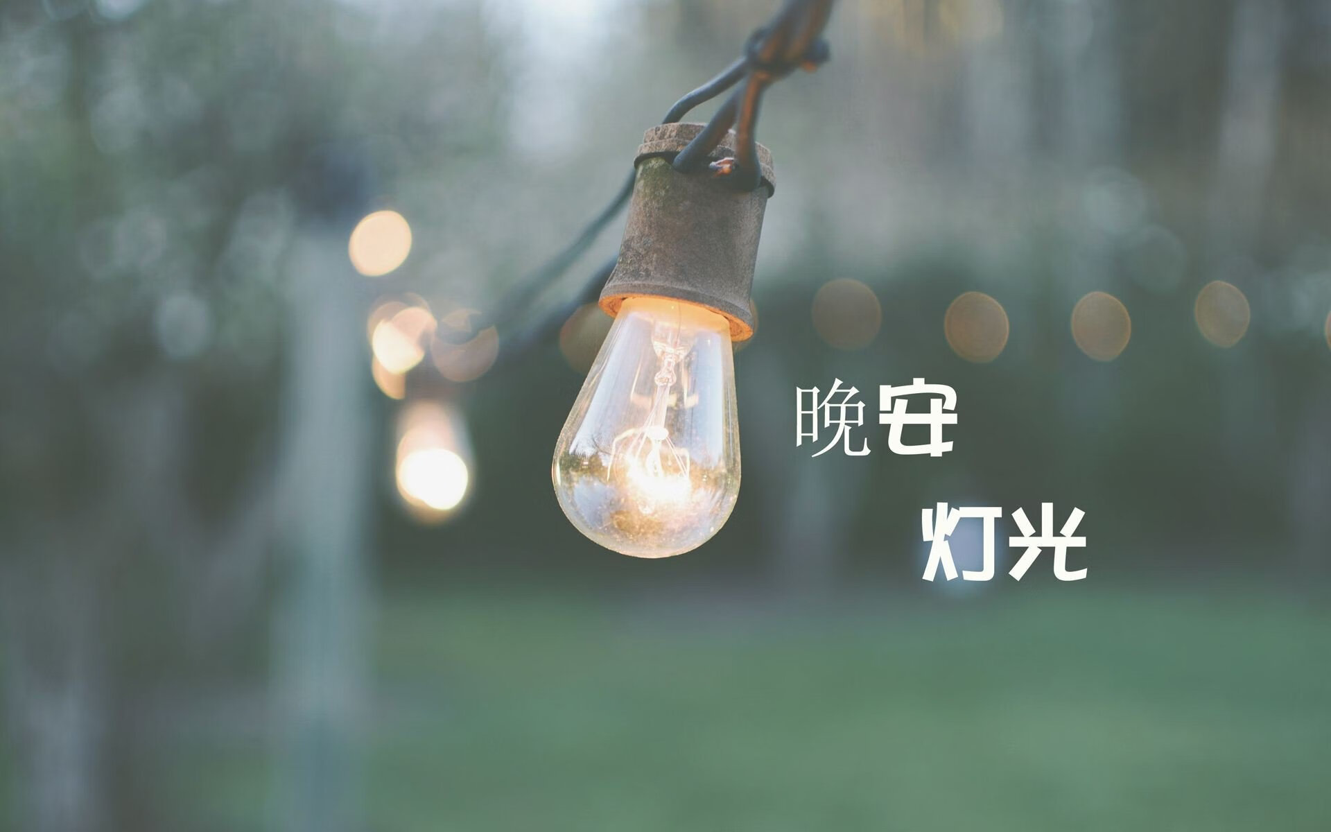 绿茵场上王者之争，欧冠赛场豪门对决，欧冠 豪门
