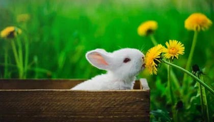 开云入口-全国马拉松联赛启动 多地掀起健跑热潮，全国马拉松赛事报名时间表