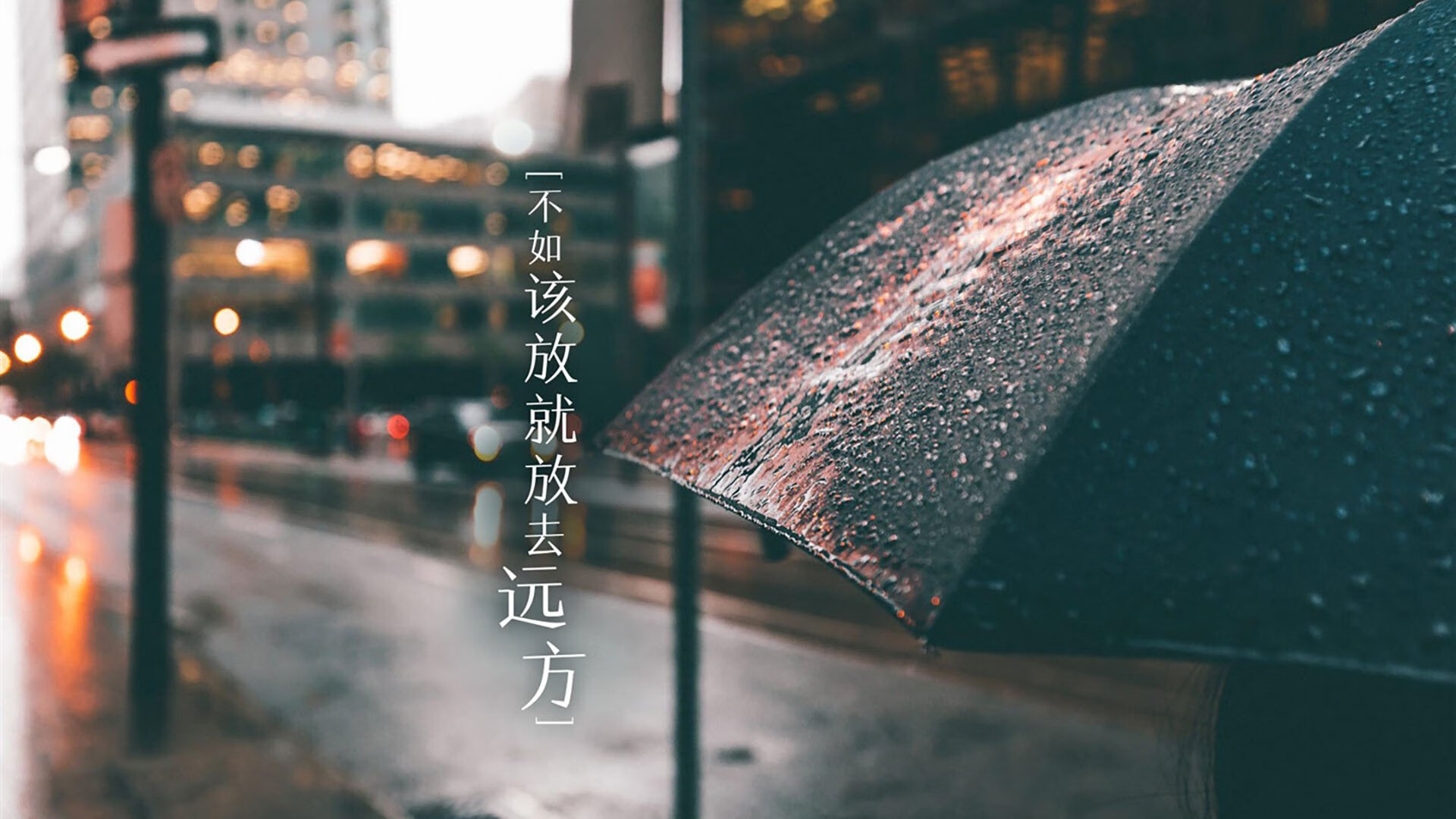 克罗地亚马术协会设立“Sinjska Alka”奖学金，支持传统马术研究。