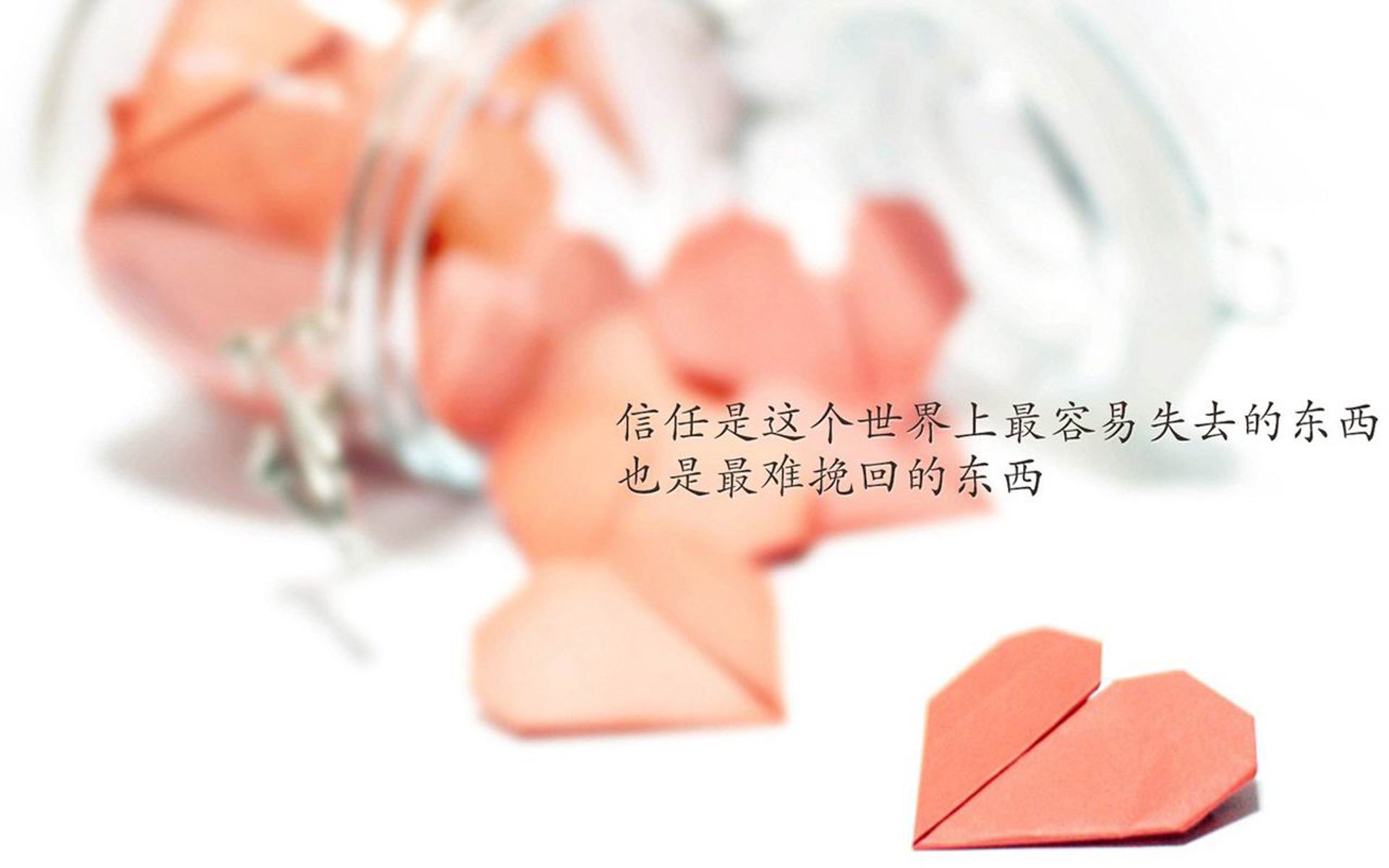 数字化青训平台实现个性化定制，培养青少年差异化发展，青少年数字化平台登录入口