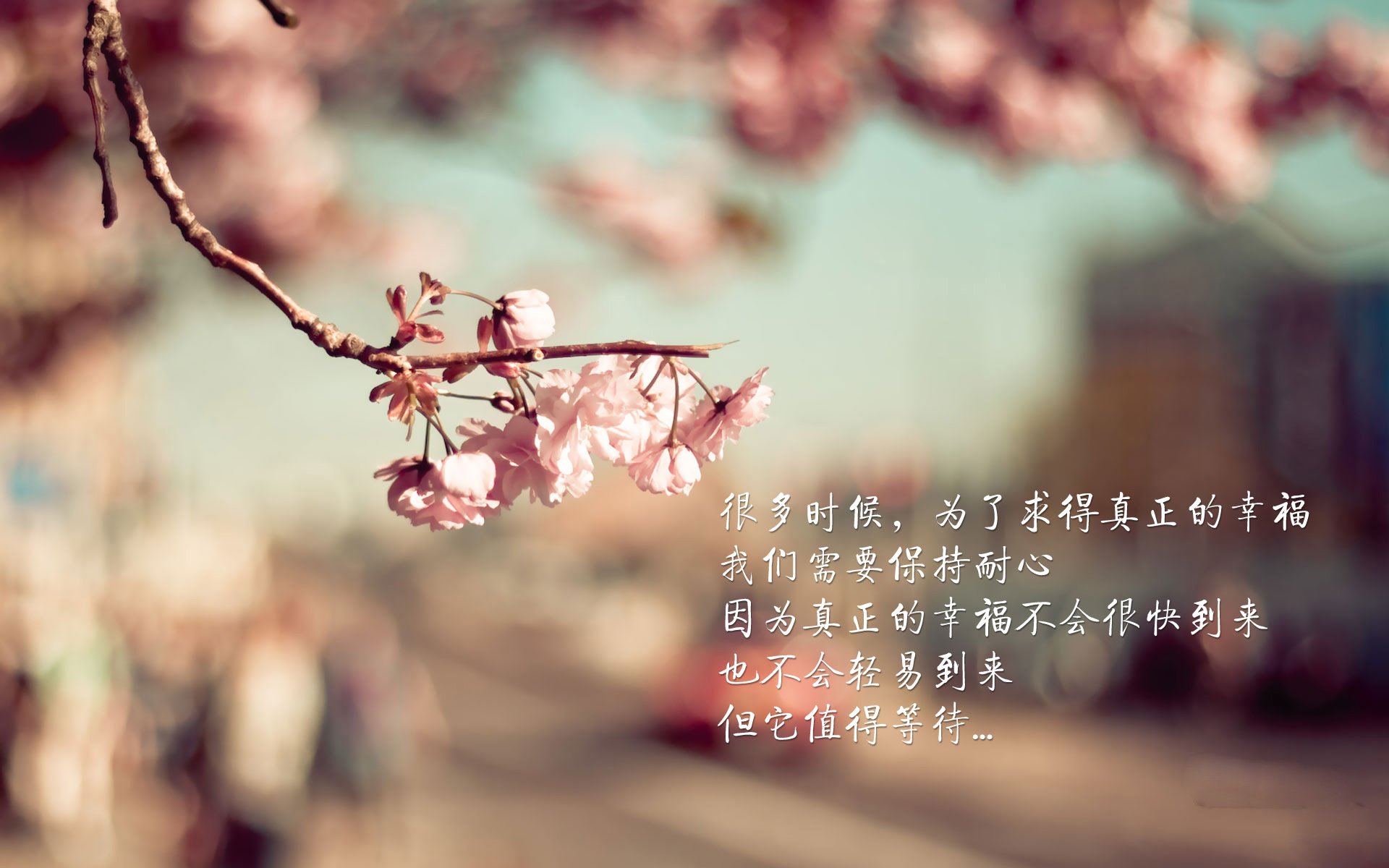 爵士队补强阵容，晋级希望更进一步，爵士队最新队员名单