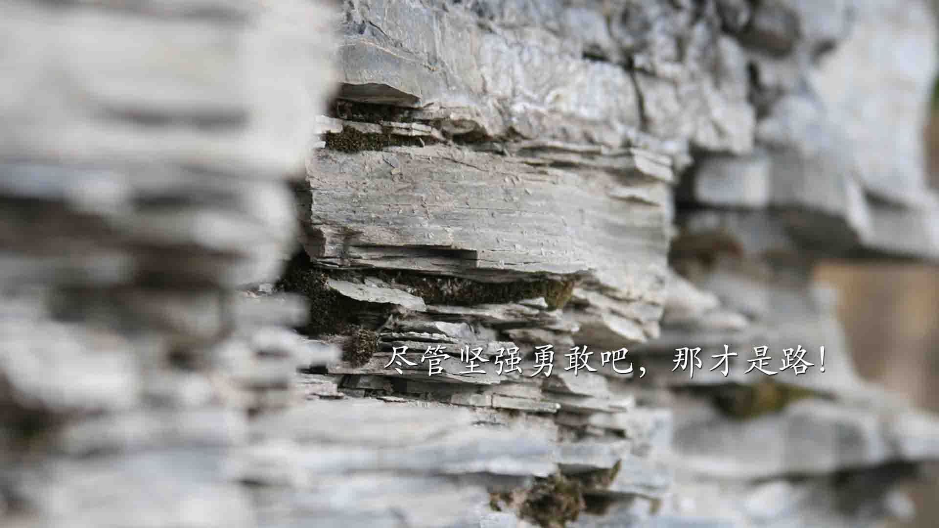 篮球俱乐部数据分析团队扩编,篮球俱乐部预计市场占有率