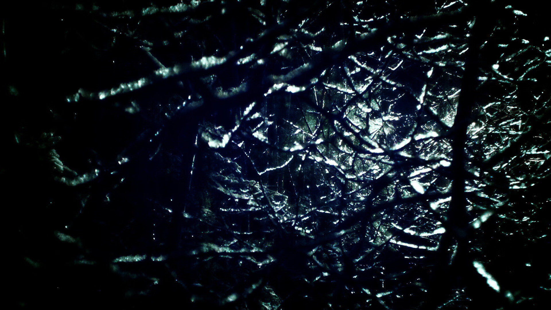 美洲杯的青少年足球推广,美洲杯足球锦标赛