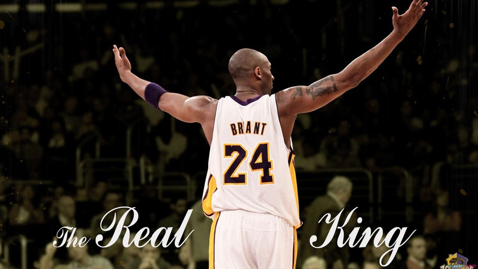 Kaiyun(中国)开云-新型空气动力学装置助力赛车突破极限，运用空气动力学的跑车