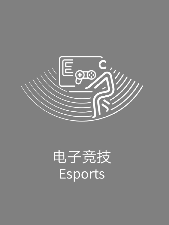 关于开云体育:电子竞技的技术保障：网络与设备的关键角色的信息